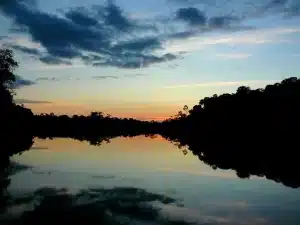 Xamanismo amazônico.